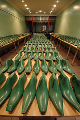 Shoe trees