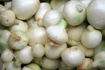 Oignons blancs