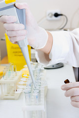 Research in laboratory