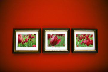 photo frames on red wall