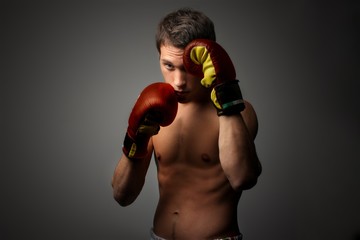 boxer