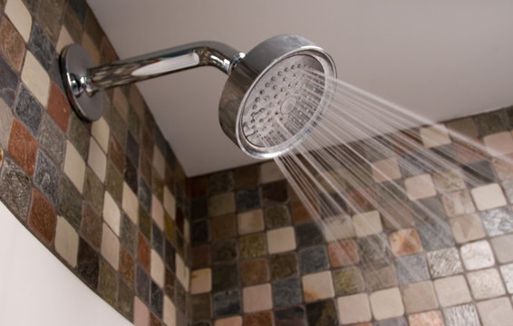 Shower Head