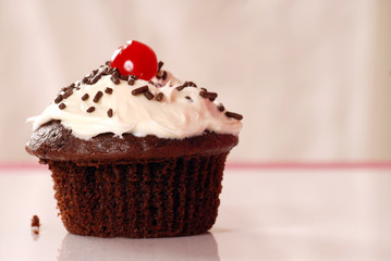 Chocolate cupcake with vanilla buttercream and sprinkles