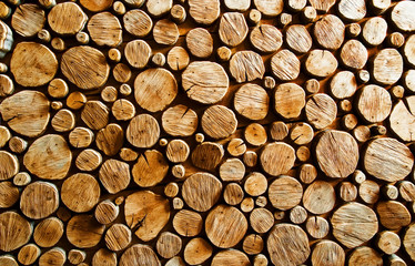 wood log backround