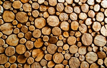 Möbelaufkleber wood log backround © B@rmaley