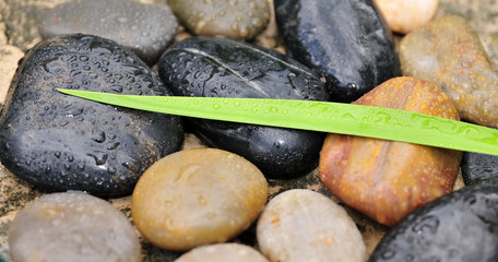 Wellness Steine Wassertropfen Blatt
