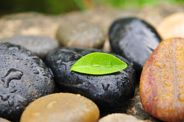 Wellness Steine Wassertropfen Blatt