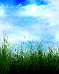 Fototapeta premium green grass