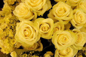 Bouquet of yellow roses