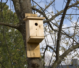 Birds home