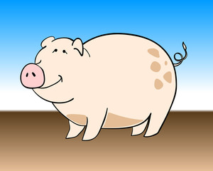 stubby pig