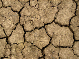 Trockene Erde