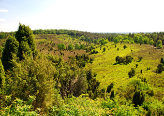 Heide_018