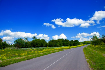 Fototapeta na wymiar Road, zielone pole z kwiatami i błękitne niebo piękne