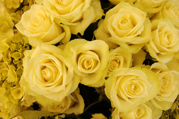 Bouquet of yellow roses