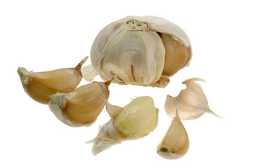 garlic