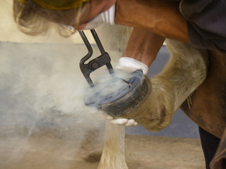 poniendo herradura