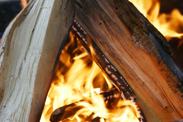 burning woods in fireplace