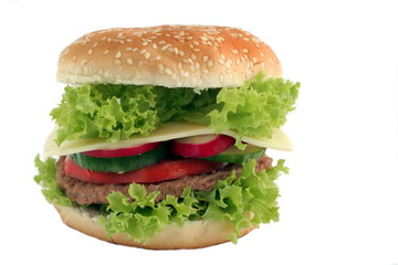 tasty cheeseburger