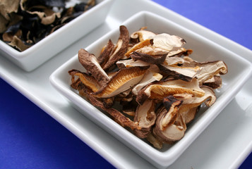 shiitake Pilze