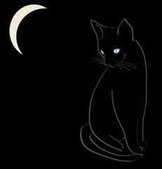 a0255 - Chat assis au clair de lune