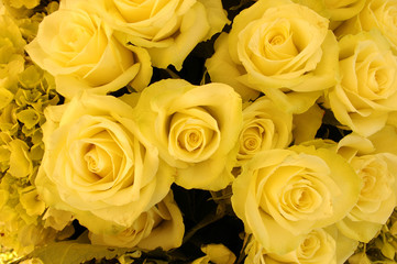 Bouquet of yellow roses