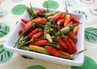 frischer chillie