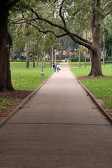 Walkway - Hyde Park, Sydney, Australia
