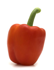 fresh red sweet pepper on white background