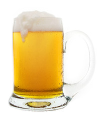 Cold tasty beer in a mug