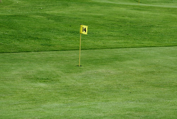 Obraz premium Pelouse de golf