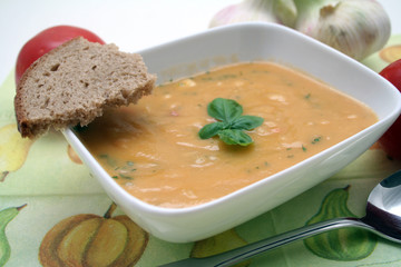 Sommergemüsesuppe