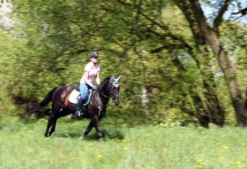 Reiten