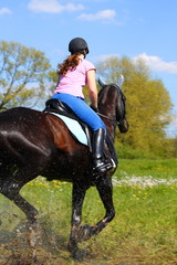 reiten