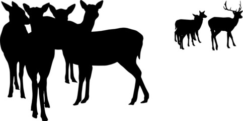deer  herd vector silhouette     illustration 