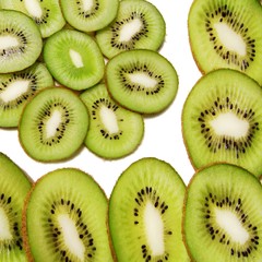 Fototapeta premium fond KIWI