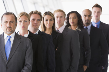 Fototapeta premium Group of office staff lined up