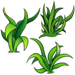 Grass Set A - detailed plants cartoon illustration