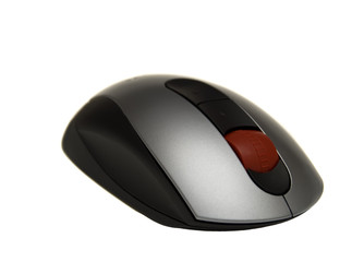 mouse