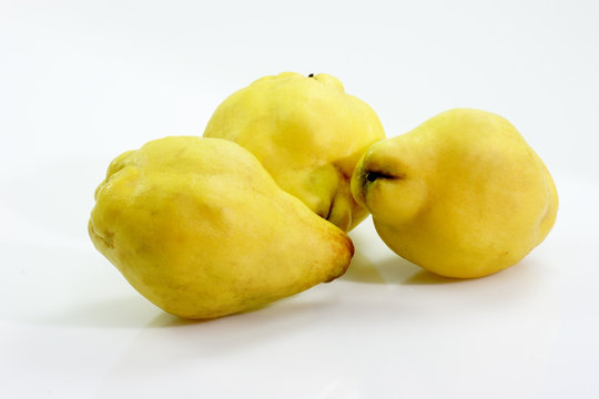 Quitten