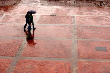 Alone in the rain