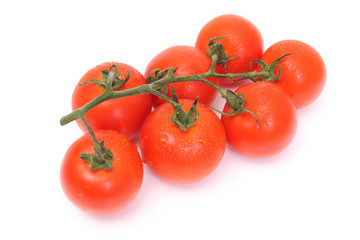 Seven tomatoes with drops