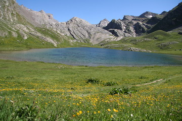Fototapeta na wymiar Jezioro i kwiaty