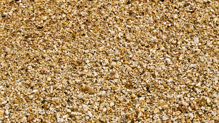 Sand and Pebbles Backdrop