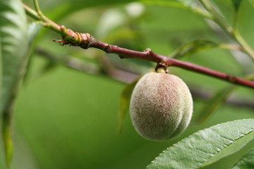 pêche au printemps,pêcher