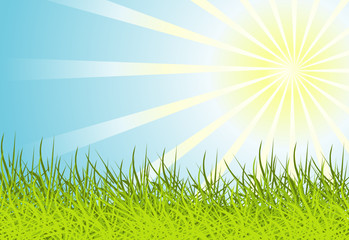 Sun and grass background