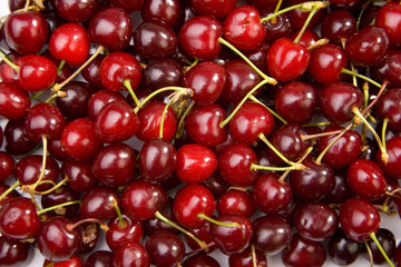 cherry