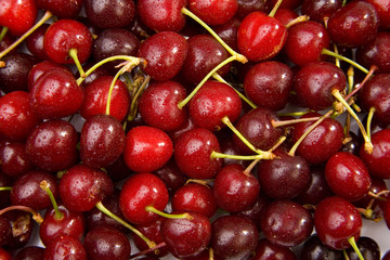 cherry