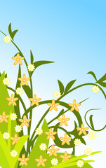 Design summer floral background