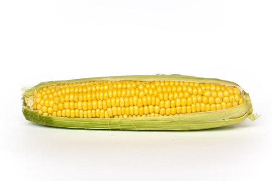 corn isolated on white